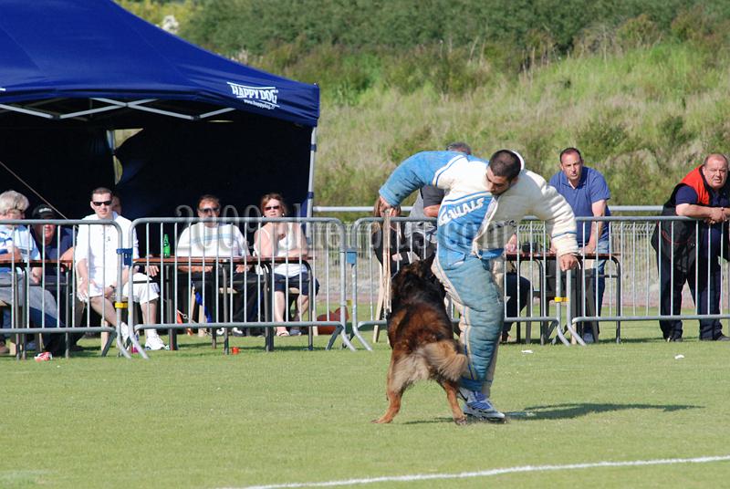 3 EME SELECTIF 2009 GRANDE SYNTHE 284.jpg